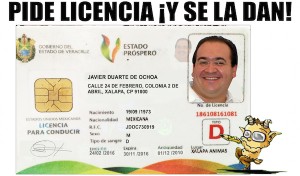 Licencia copy